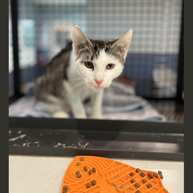 Photo of Sir Christopher Sterling