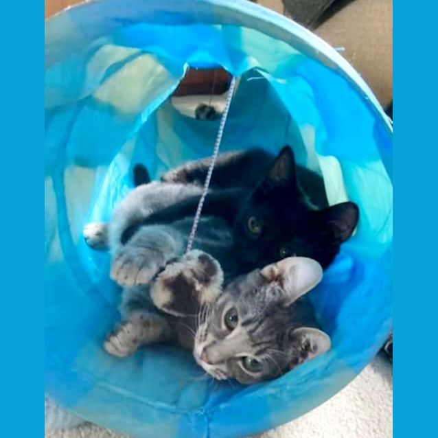 Photo of Eddie & Raven