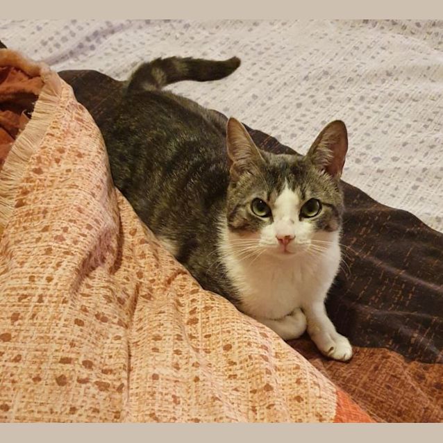 Photo of Max