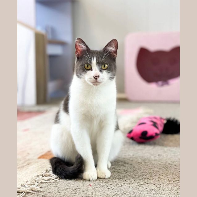 Photo of Fern & Felicity