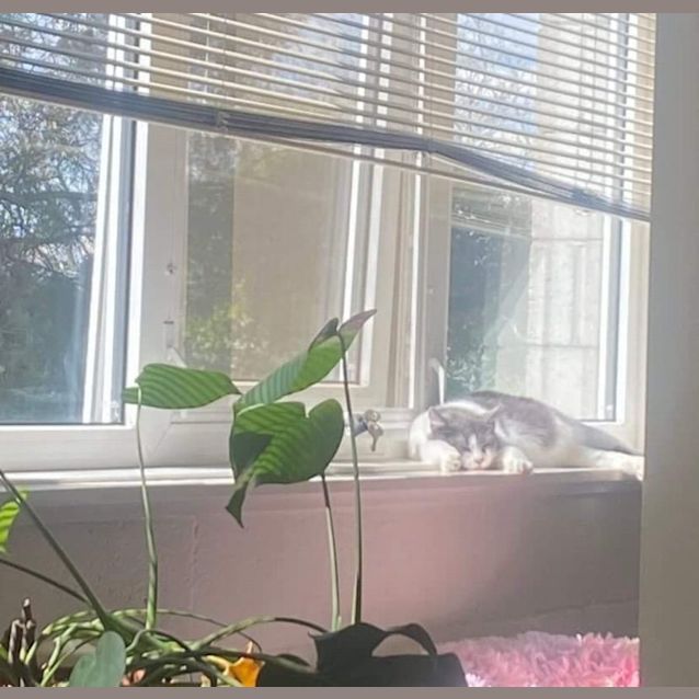 Photo of Fern & Felicity