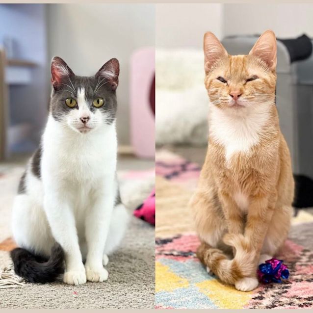 Photo of Fern & Felicity