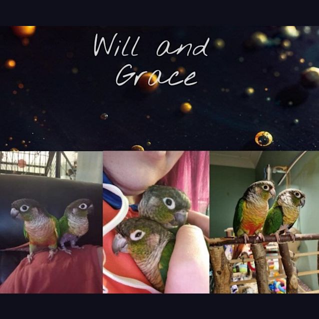 Photo of Will & Grace