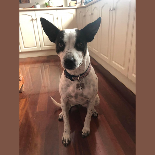 Photo of Narla Dl2905