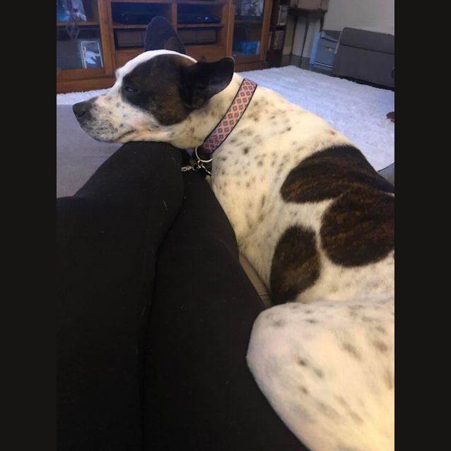 Photo of Narla Dl2905