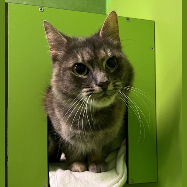 Photo of Harriet