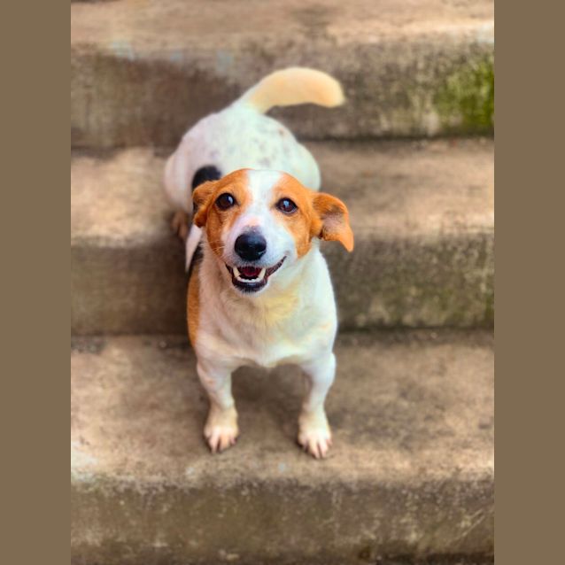 Photo of Poppy