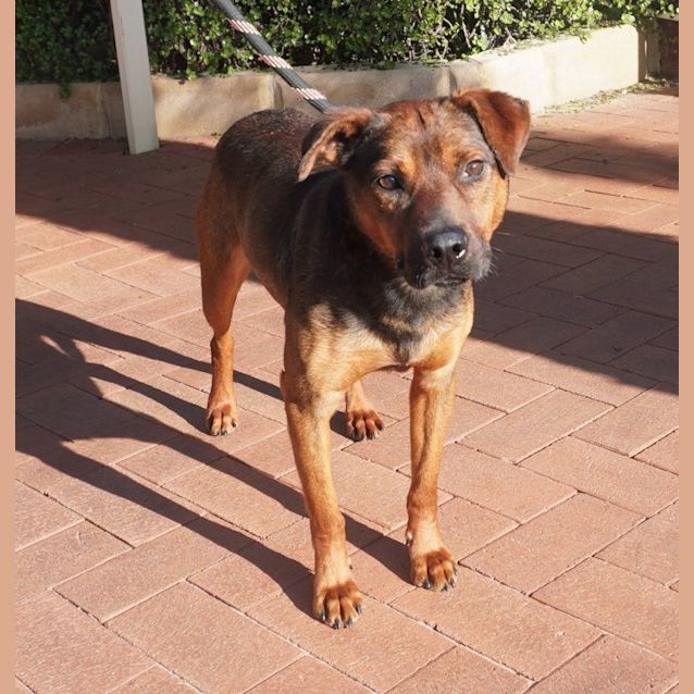 Photo of Tucker
