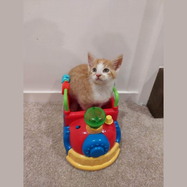 Photo of Ed