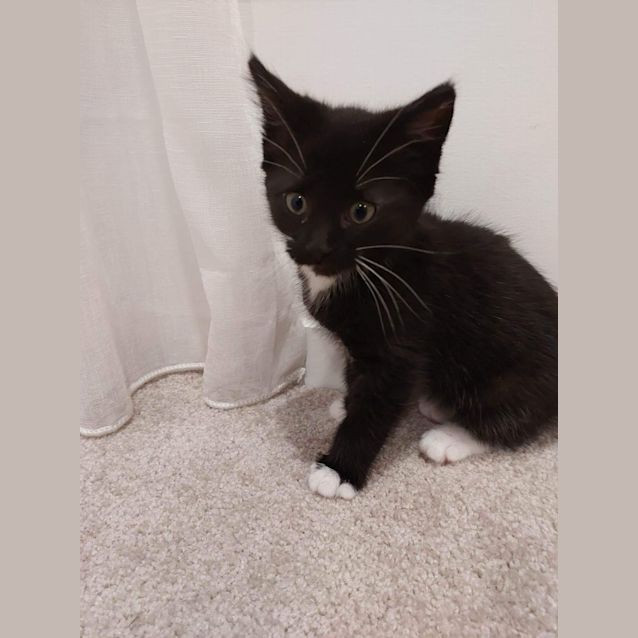 Photo of Mid