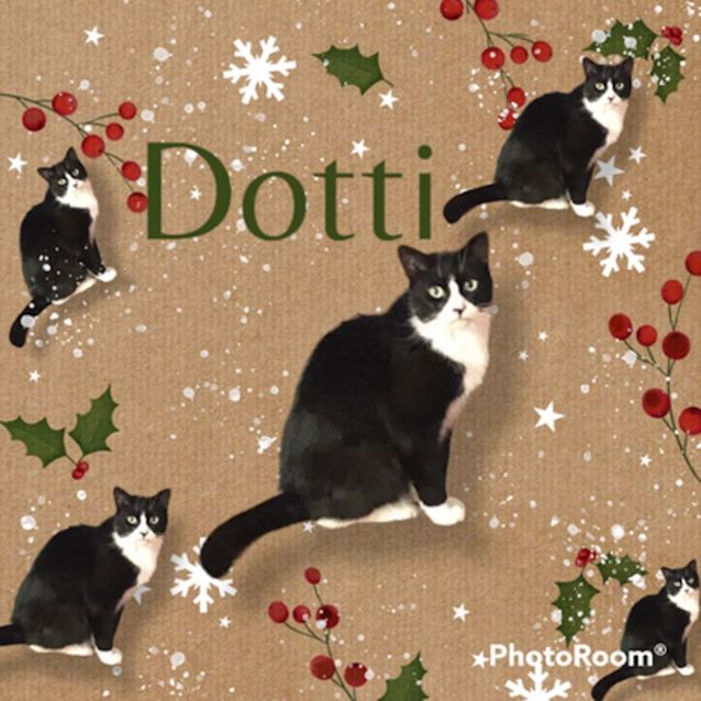 Photo of Dotti