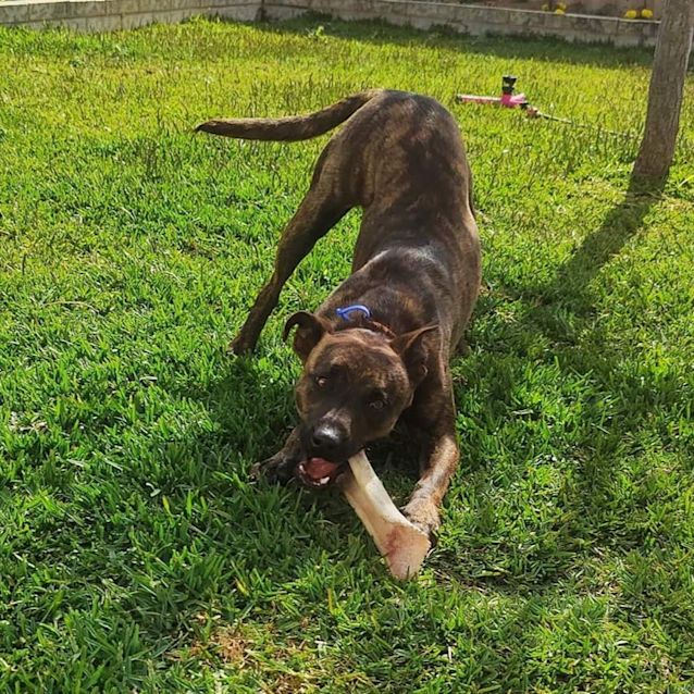 Photo of Zelda