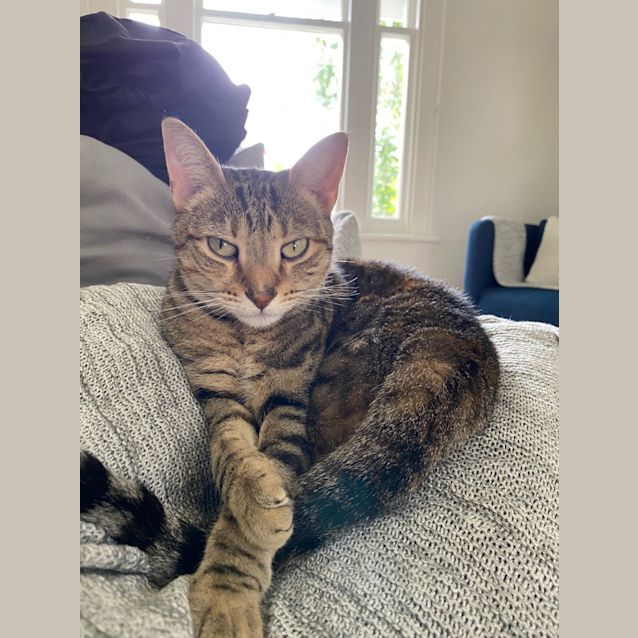 Photo of Mary Jane (Mj)