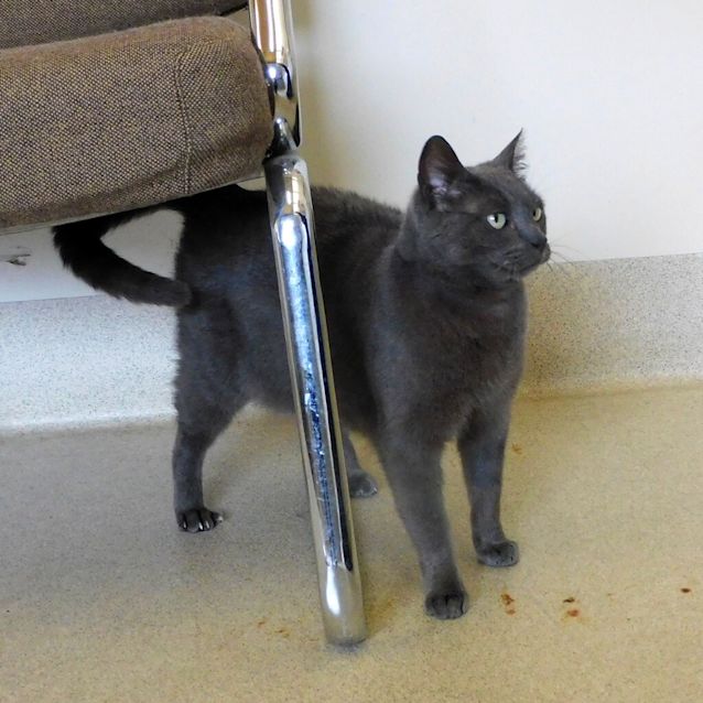 Photo of Smokey Vera