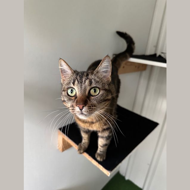 Photo of Ruby