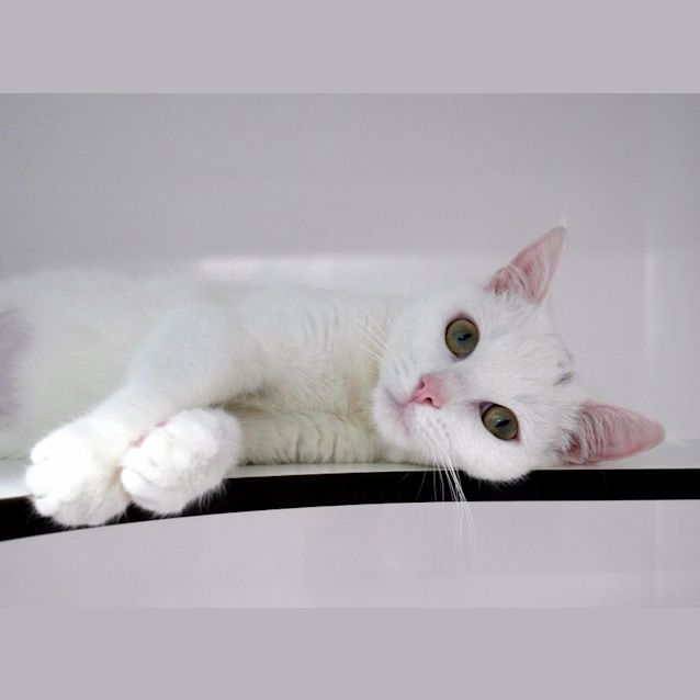 Photo of Winnie Sua010581