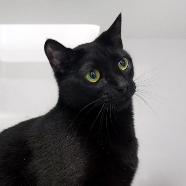 Photo of Nox Rsuk009895