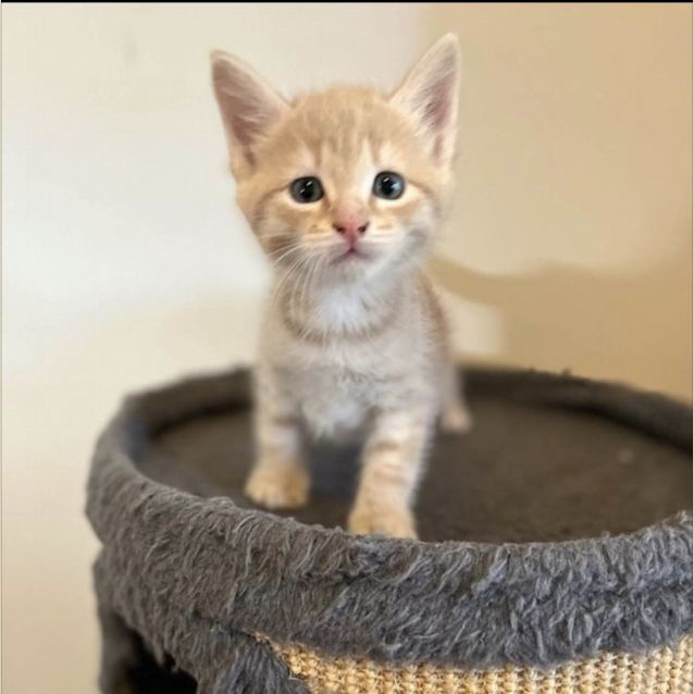 Photo of Connor   Located In Preston