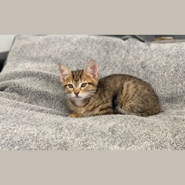 Photo of Lilly