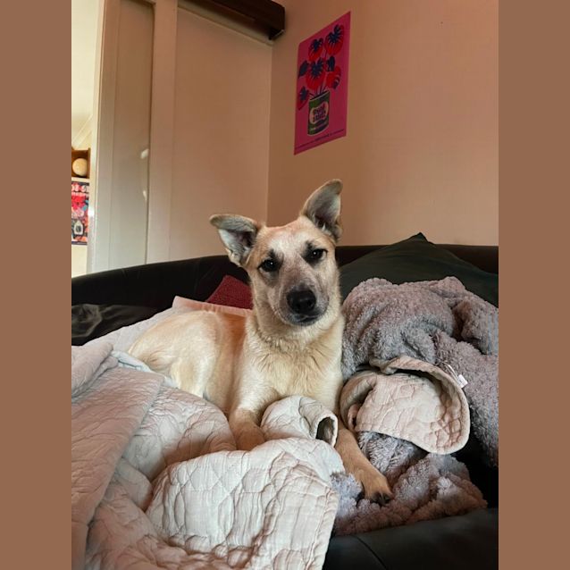 Photo of Zolly