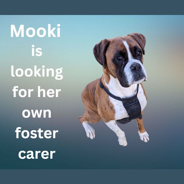Photo of Mooki