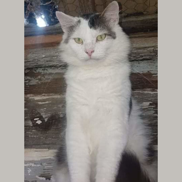 Photo of Kale & Billy