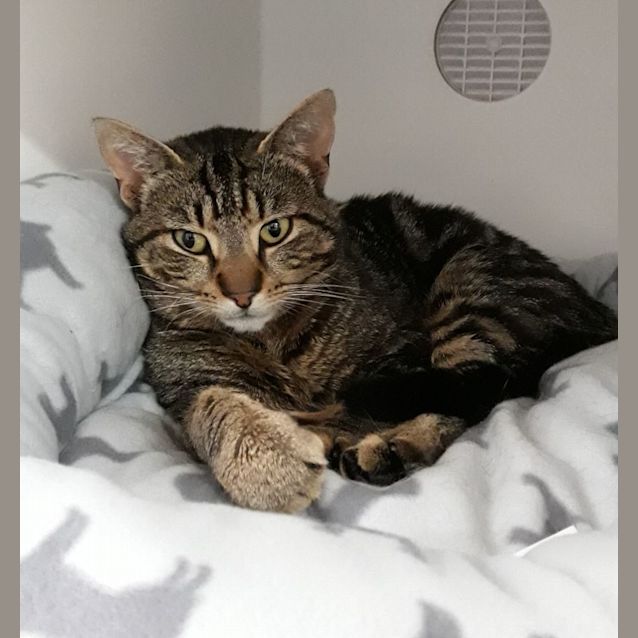 Photo of Freddy