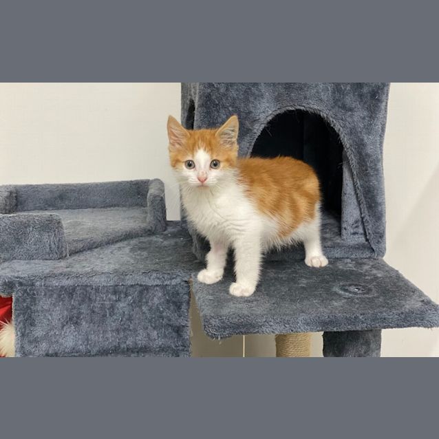Photo of Clarence