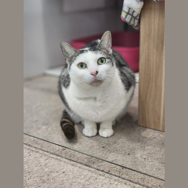 Photo of Mitzy