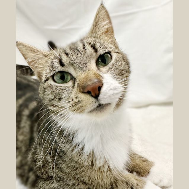 Photo of Ashley ♡ Total Smooch ♡