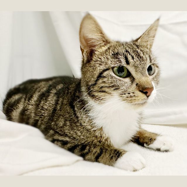 Photo of Ashley ♡ Total Smooch ♡