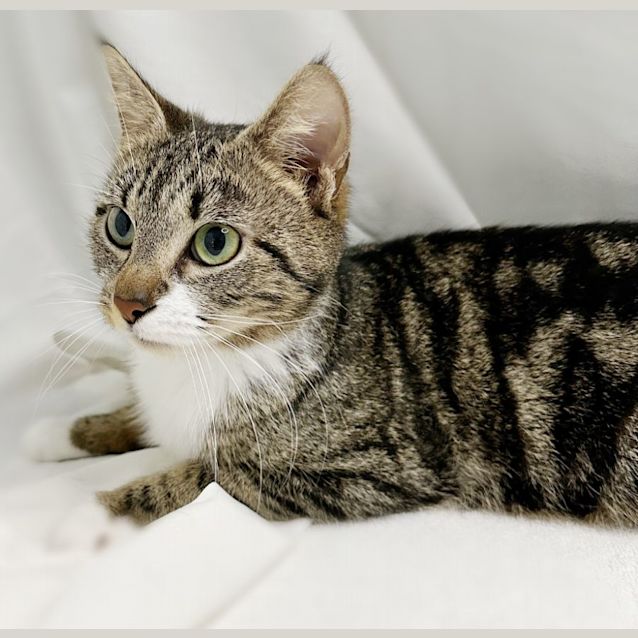 Photo of Ashley ♡ Total Smooch ♡