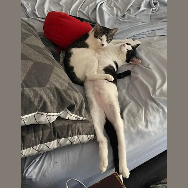 Photo of Barbie & Pattie