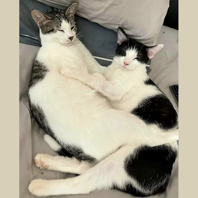 Photo of Barbie & Pattie