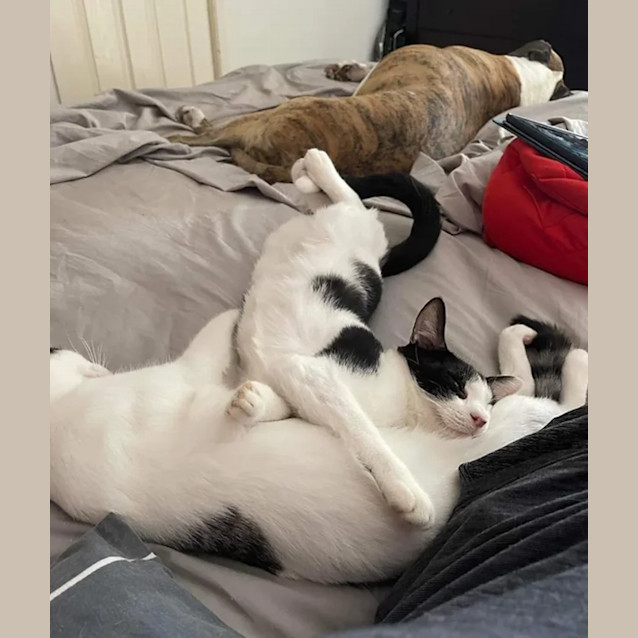 Photo of Barbie & Pattie