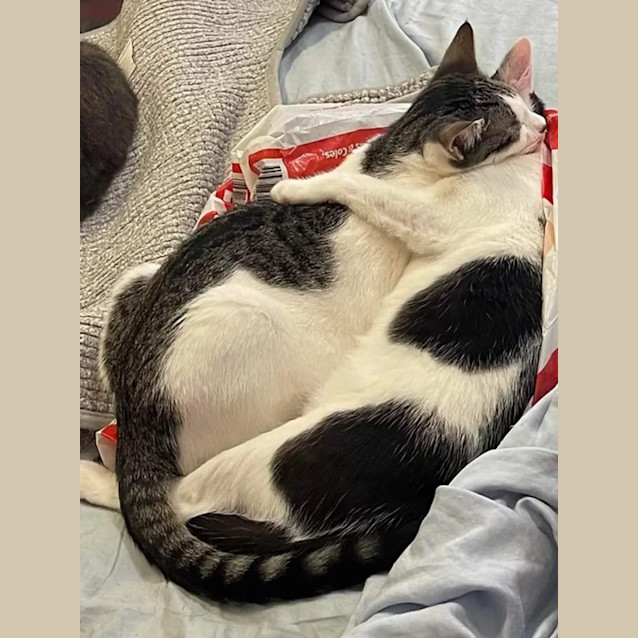 Photo of Barbie & Pattie