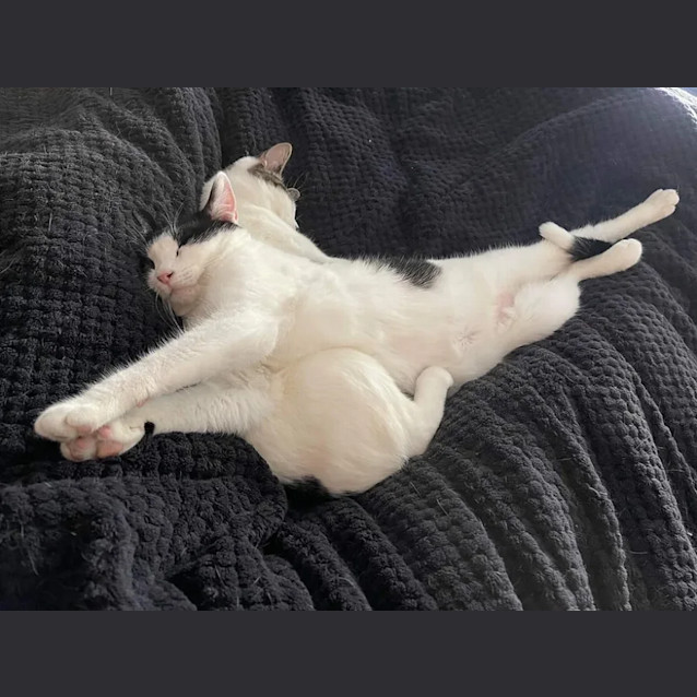 Photo of Barbie & Pattie