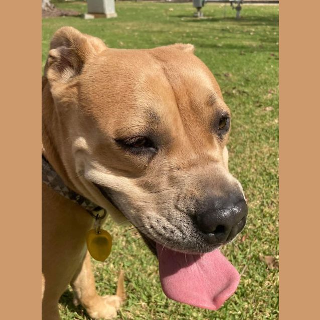 Photo of Skyla Dl2857