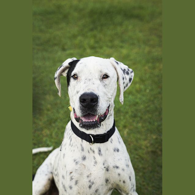 Photo of Spot 