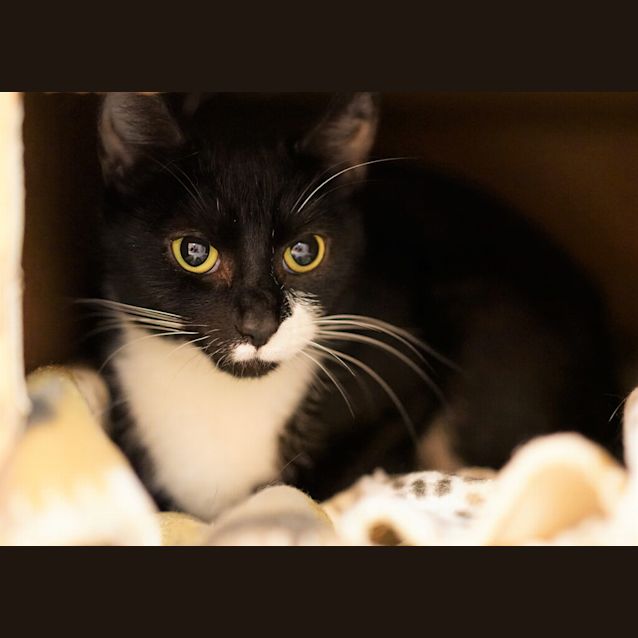 Photo of Lulu
