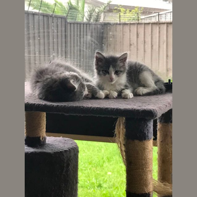 Photo of Frosty & Dusty