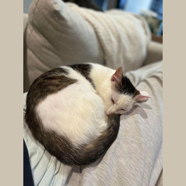 Photo of Zuzu   Located In Melbourne