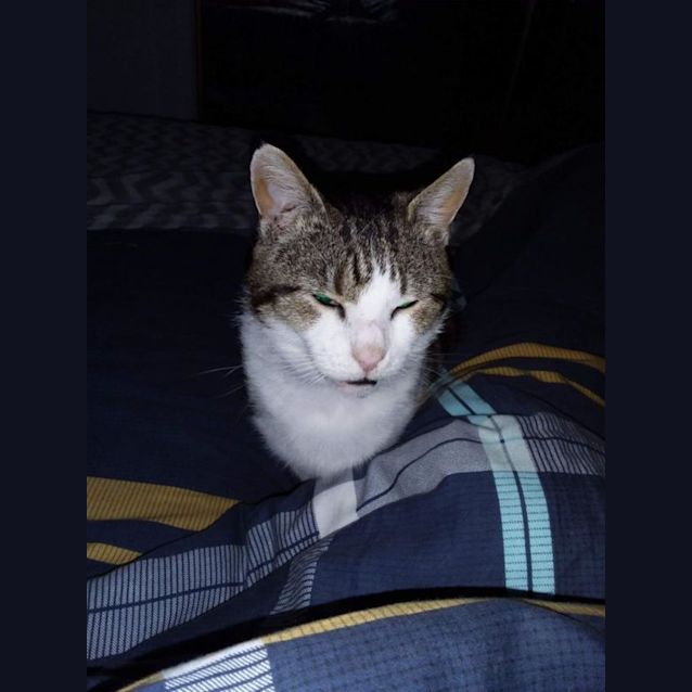 Photo of Oliver Brown