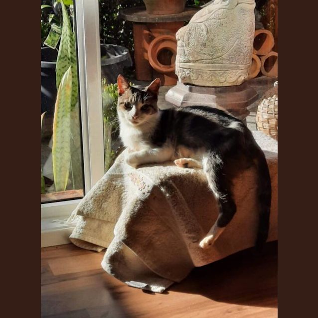 Photo of Oliver Brown