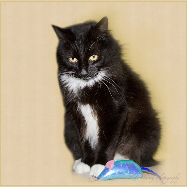 Photo of Sylvie
