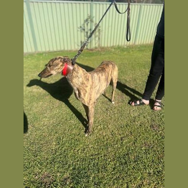 Photo of Peppa & Sophie