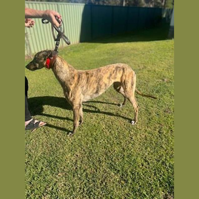 Photo of Peppa & Sophie