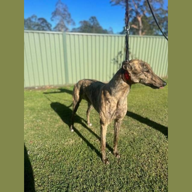 Photo of Peppa & Sophie