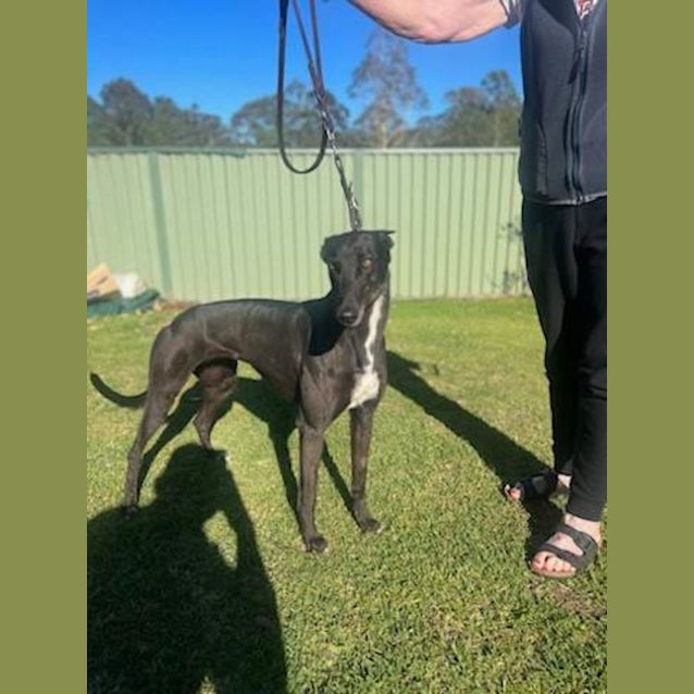 Photo of Peppa & Sophie