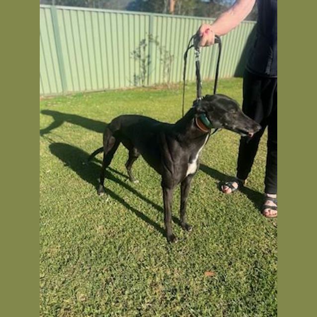 Photo of Peppa & Sophie